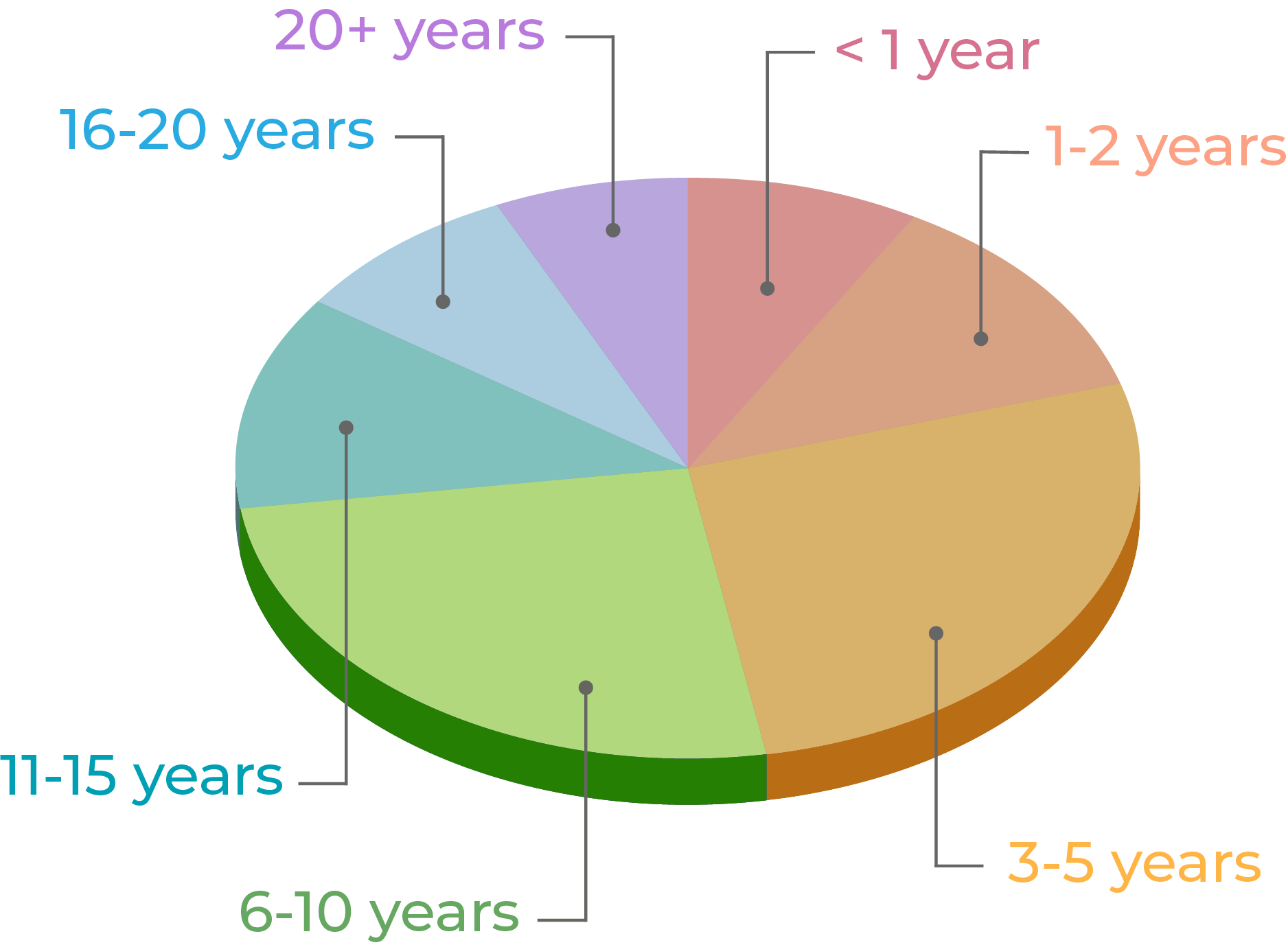 Coaching Experience Pie Chart distribution