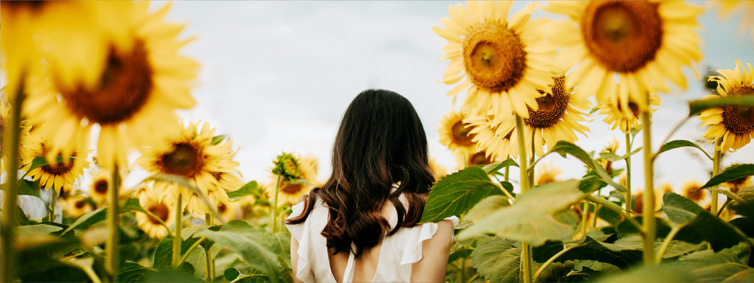 Inferiority Complex Inferiority Complex